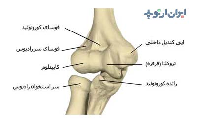 آناتومی آرنج. استخوان های تشکیل دهنده