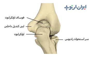 آناتومی آرنج. استخوان های تشکیل دهنده