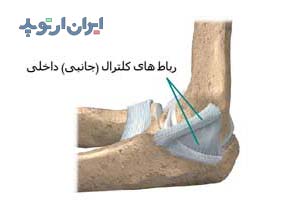 آناتومی آرنج. رباط ها
