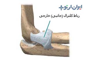 آناتومی آرنج. رباط ها
