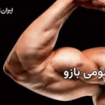 آناتومی بازو