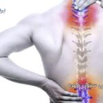 آناتومی ستون مهره