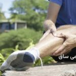 آناتومی ساق
