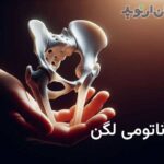 بررسی جامع آناتومی لگن خاصره