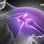 آناتومی شانه