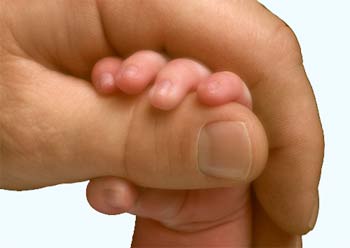 4875_orig 4875 orig