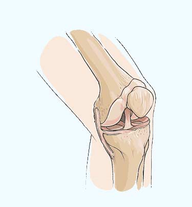 4901_orig 4901 orig